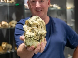 Ditemukan Fosil Manusia Berkaki Kecil, Kemungkinan Spesies Baru