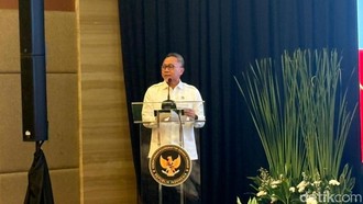 Zulhas Ungkap Peran RI Bikin Harga Beras Dunia Turun Tajam