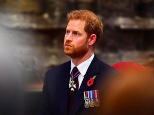 Duh, Pangeran Harry Digugat oleh Yayasan Amalnya Sendiri