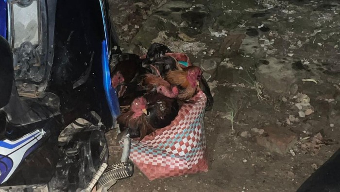 Teror Hantu Bercakar yang Bikin Perut Kaku