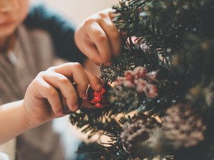 Beda! India Rayakan Hari Natal dengan Pohon Mangga