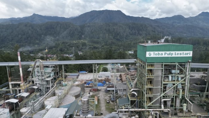 Toba Pulp Lestari Pernah Disikat Luhut hingga Izinnya Dicabut Prabowo