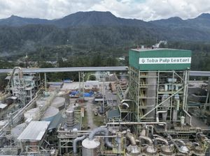 Toba Pulp Lestari Pernah Disikat Luhut hingga Izinnya Dicabut Prabowo