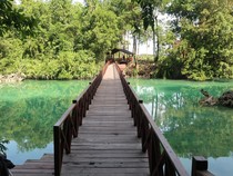 Jelajah Pesona Berau, Masih Cantik Seperti yang Dulu