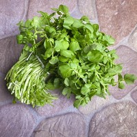 Ini Sayuran Paling Sehat Menurut Sains, Rendah Kalori Bisa untuk Diet