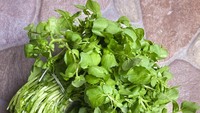 Ini Sayuran Paling Sehat Menurut Sains, Rendah Kalori Bisa untuk Diet