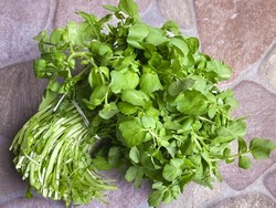 Ini Sayuran Paling Sehat Menurut Sains, Rendah Kalori Bisa untuk Diet