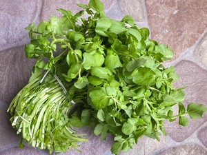 Ini Sayuran Paling Sehat Menurut Sains, Rendah Kalori Bisa untuk Diet