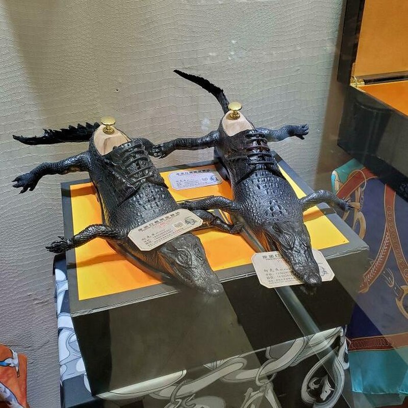 Dari hak berbentuk permen karet hingga sepatu yang tampak hidup, desain-desain ini membuktikan bahwa alas kaki juga bisa jadi karya seni penuh cerita.