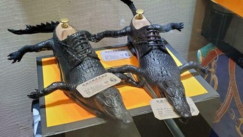 Bukan berjalan, sepatu ini seolah dirancang untuk berenang di rawa-rawa. Foto:Boredpanda