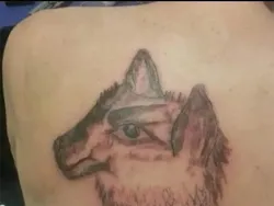 Tato Gagal Only! Sakitnya Nggak Sebanding dengan Hasilnya, Haft