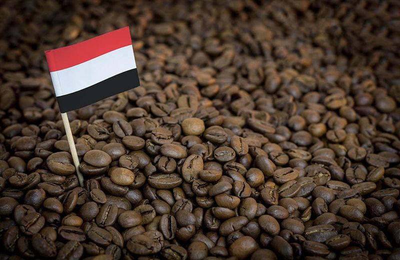 5 Jenis Kopi Tertua di Dunia Berusia Ratusan Tahun, 3 dari Indonesia Kopi Tertua di Dunia Berusia Ratusan Tahun