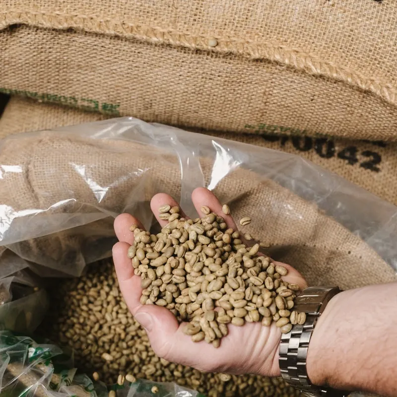 5 Jenis Kopi Tertua di Dunia Berusia Ratusan Tahun, 3 dari Indonesia Kopi Tertua di Dunia Berusia Ratusan Tahun