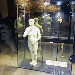 Empat Fosil Berharga Homo Erectus Sang Java Man Dipajang di Museum Nasional