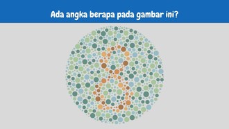 Nggak Semua Orang Bisa Lihat Angka di Tes Buta Warna Ini, Kamu Bisa?