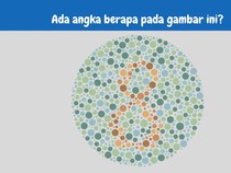 Nggak Semua Orang Bisa Lihat Angka di Tes Buta Warna Ini, Kamu Bisa?