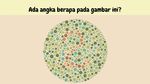 Nggak Semua Orang Bisa Lihat Angka di Tes Buta Warna Ini, Kamu Bisa?