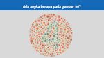 Nggak Semua Orang Bisa Lihat Angka di Tes Buta Warna Ini, Kamu Bisa?