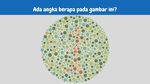 Nggak Semua Orang Bisa Lihat Angka di Tes Buta Warna Ini, Kamu Bisa?