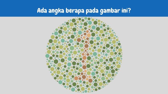 Asah Otak buta warna