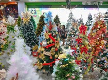 Berburu Pohon Natal, Harga Mulai Rp300 Ribu hingga Puluhan Juta