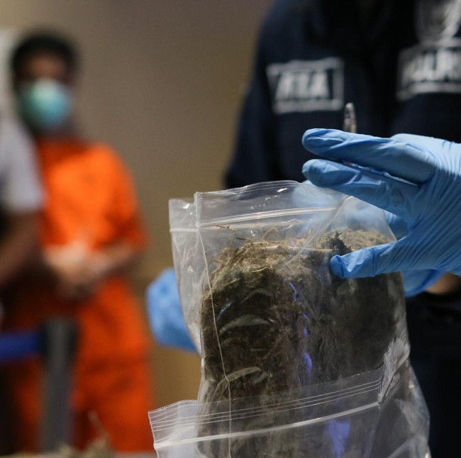 BNNP Jatim Musnahkan Ganja 2 Kg Hasil Tangkapan di Malang