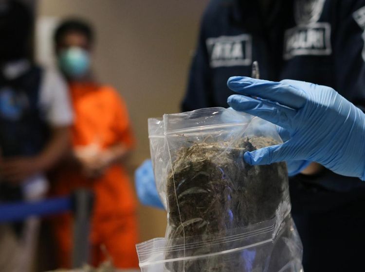 BNNP Jatim Musnahkan Ganja 2 Kg Hasil Tangkapan di Malang