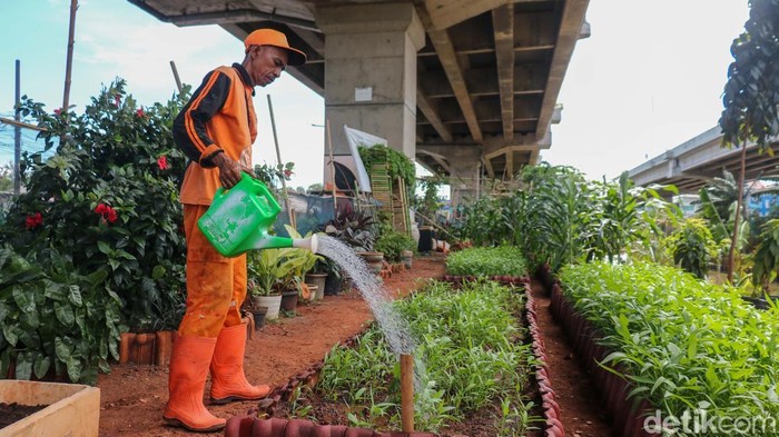 Petugas Penanganan Prasarana dan Sarana Umum (PPSU) merawat tanaman di Kalimalang, Kecamatan Duren Sawit, Jakarta Timur, Rabu (17/12/2025).