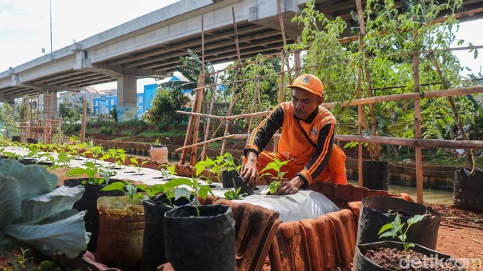Petugas Penanganan Prasarana dan Sarana Umum (PPSU) merawat tanaman di Kalimalang, Kecamatan Duren Sawit, Jakarta Timur, Rabu (17/12/2025).