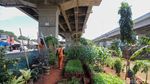 Dari Kumuh Jadi Hijau, Urban Farming Tumbuh di Kolong Tol Becakayu