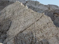 Ratusan Jejak Kaki Dinosaurus Membentang 5 KM di Tempat Ini