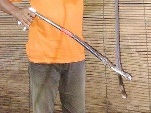 Kobra Semeter Ngumpet di Lemari Warga Sukoharjo Bikin Gempar