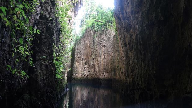 Gua Gumantung di Maratua Gua Gumantung di Maratua