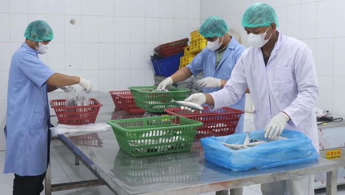 Kementerian UMKM Bakal Perkuat Kemitraan & Rantai Pasok Usaha di 2026