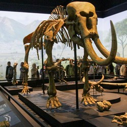 Esok, Harga Tiket Museum Nasional Indonesia Naik Jadi Rp 50 Ribu