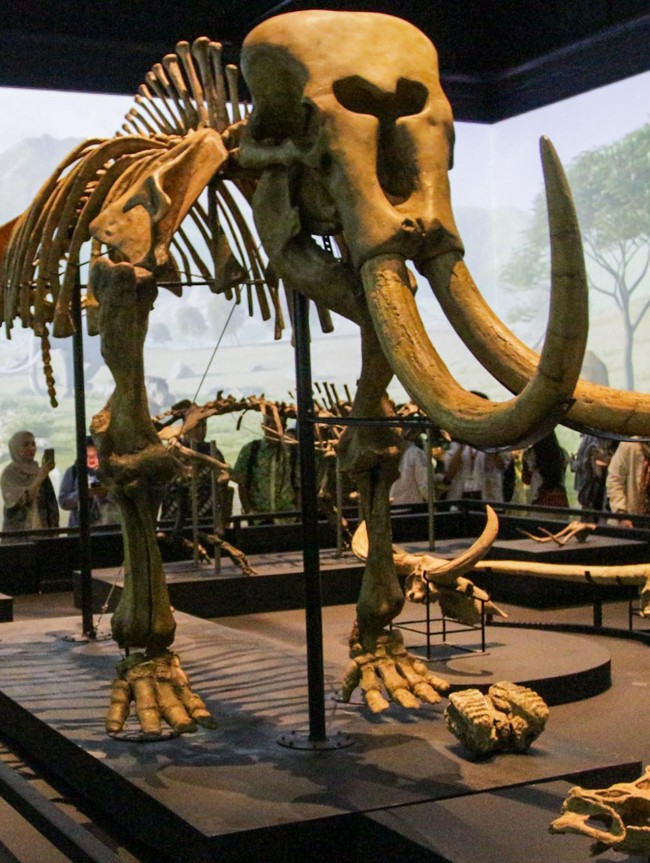 Menelusuri Jejak Awal Nusantara Lewat Pameran Sejarah Awal di Museum Nasional