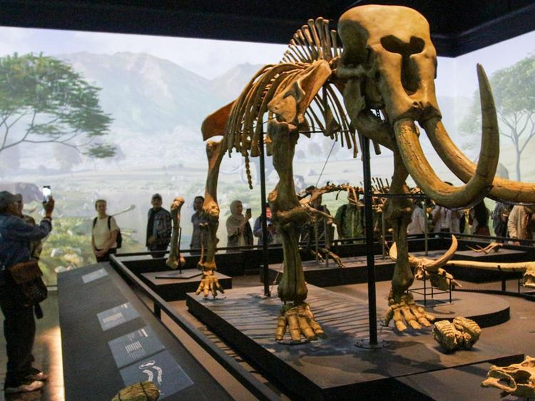 Menelusuri Jejak Awal Nusantara Lewat Pameran Sejarah Awal di Museum Nasional