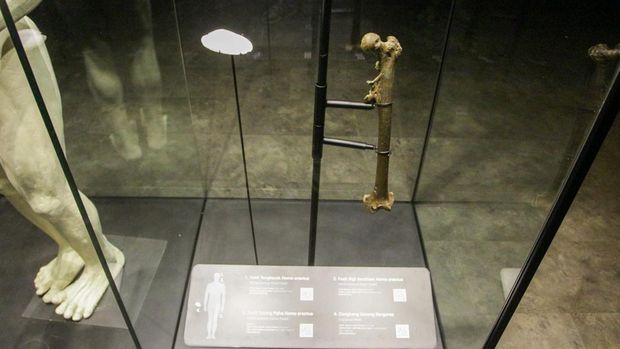 Menelusuri Jejak Awal Nusantara Lewat Pameran Sejarah Awal di Museum Nasional Menteri Kebudayaan Fadli Zon saat meresmikan pameran