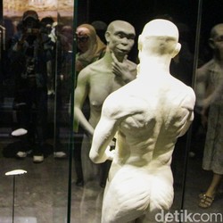 Jejak Manusia Jawa, Kini Kembali