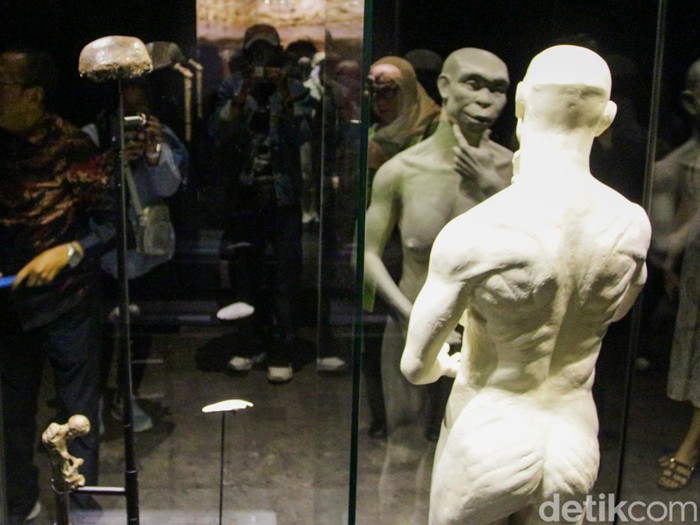 Pameran “Sejarah Awal” resmi dibuka di Museum Nasional. Beragam fosil dan artefak, termasuk Homo Erectus (Java Man) hasil pemulangan dari Belanda.