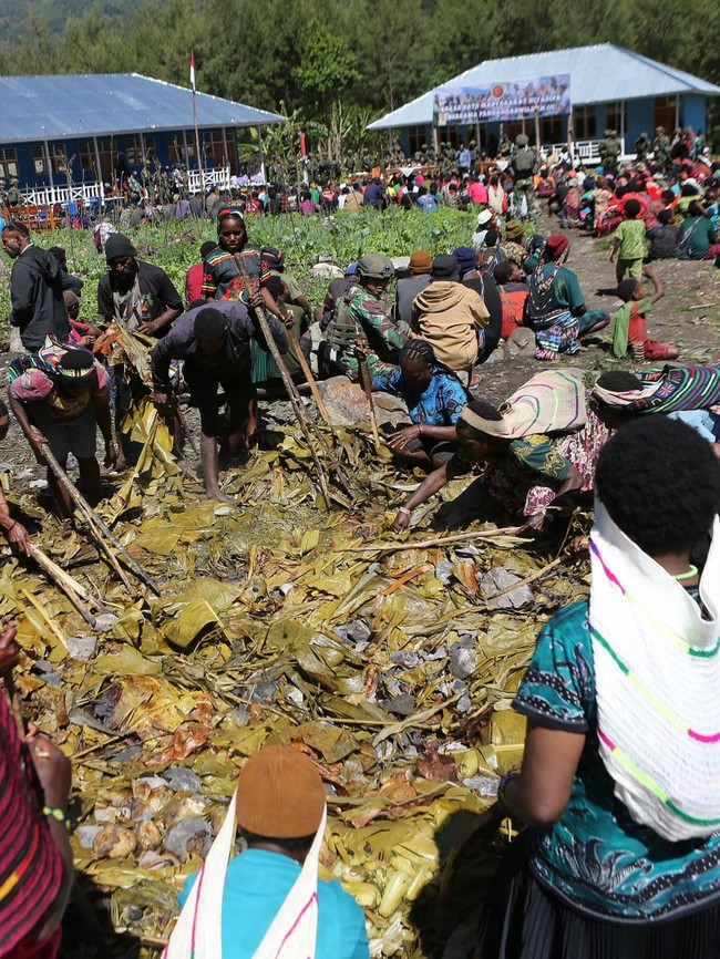 Tradisi Bakar Batu Tunjukkan Papua Kondusif Jelang Natal dan Tahun Baru