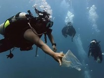 Manta Point Nusa Penida Tercemar Sampah Plastik, Pari hingga Penyu Terancam
