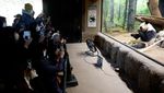 Perpisahan Penuh Haru, Panda Terakhir Jepang Segera Pulang ke China