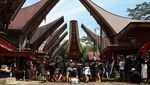 Potret Mapasonglo, Ritual Pemakaman Bangsawan Toraja