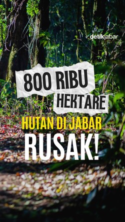 Video: 800 Ribu Hektare Hutan di Jabar Rusak!
