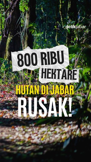 Video: 800 Ribu Hektare Hutan di Jabar Rusak!