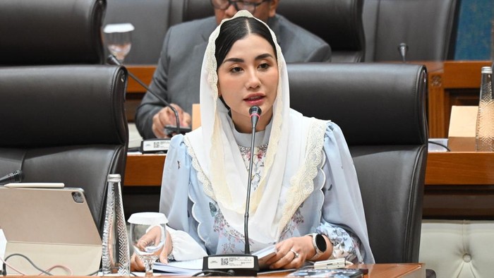 Anggota DPR Novita Hardini Dorong Pemerintah Dukung Industri Film Lokal