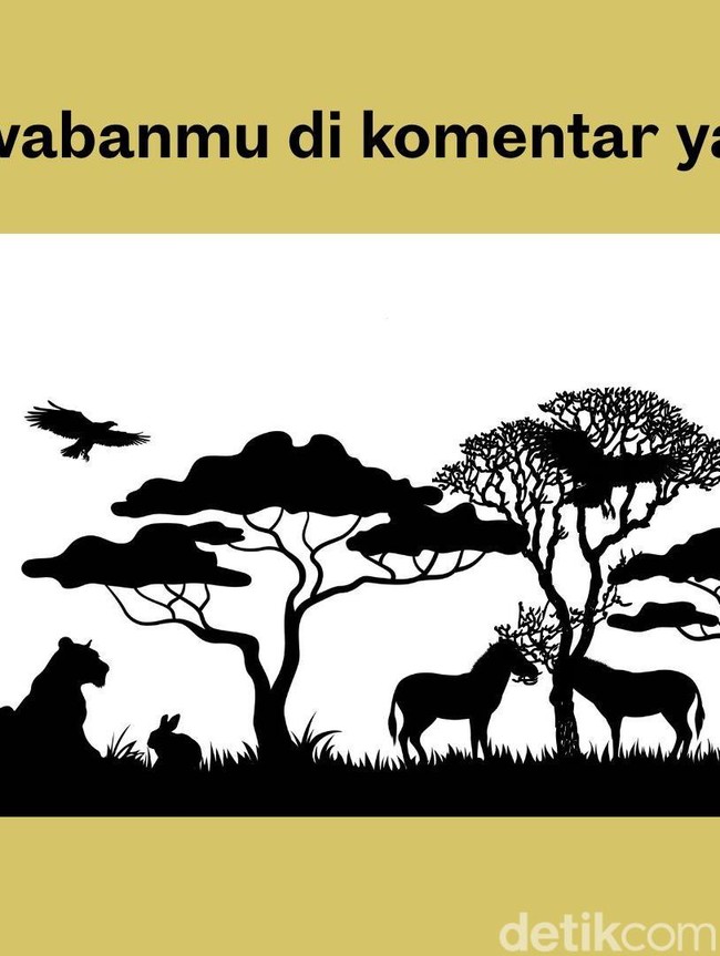 Tes Gambar Ini Nggak Sesimpel yang Kamu Kira, Hanya yang Jeli Bisa Menjawab