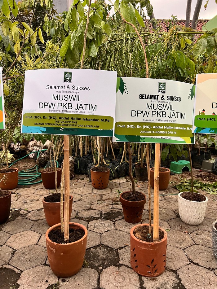 Muswil PKB Jatim Tanpa Karangan Bunga, Diganti dengan Bibit Pohon