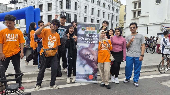Mengenal COP, Pasukan Garis Depan Penyelamat Orang Utan dari Perburuan